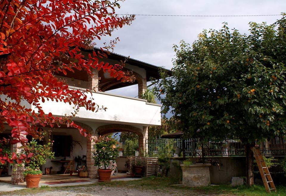 B&B Nella Terra Di Mezzo Caporiacco Dış mekan fotoğraf